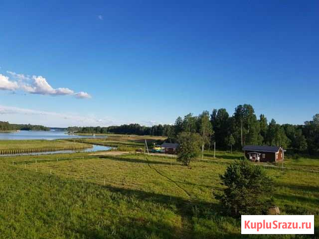 Участок ИЖС 33 сот. на продажу в Приозерске Приозерск - изображение 1