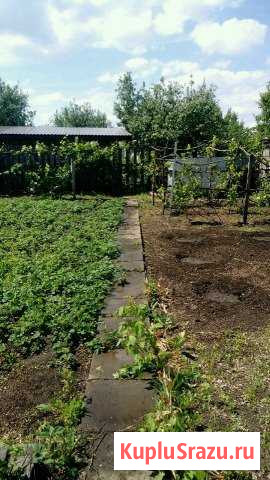 Дача 24 м² на участке 11 сот. на продажу в Балаково Балаково - изображение 1