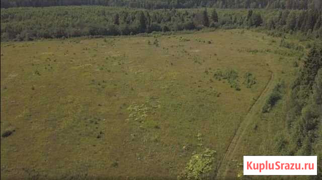Участок СНТ, ДНП 10 сот. на продажу в Можайске Можайск - изображение 1
