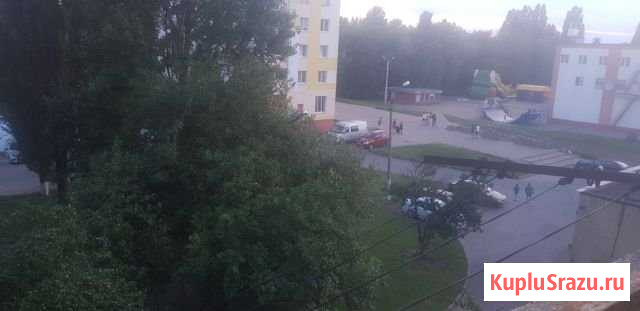 1-комнатная квартира, 39 м², 4/5 эт. в аренду на длительный срок в Строителе Белгородской области Строитель - изображение 1