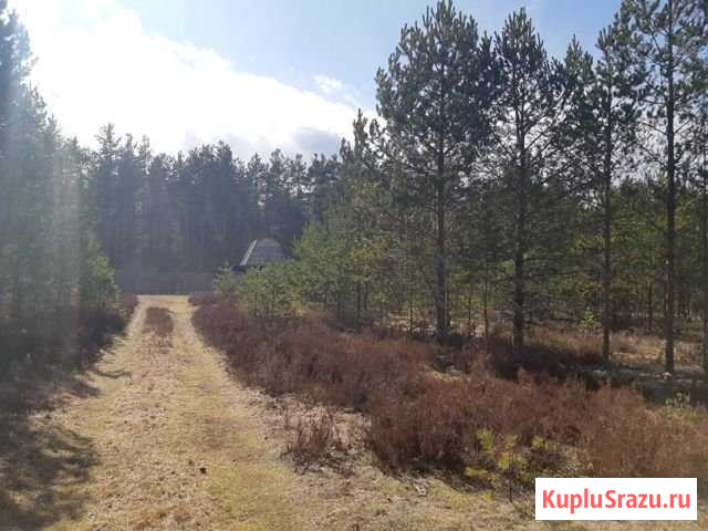 Участок СНТ, ДНП 10 сот. на продажу в Кадуе Кадуй - изображение 1