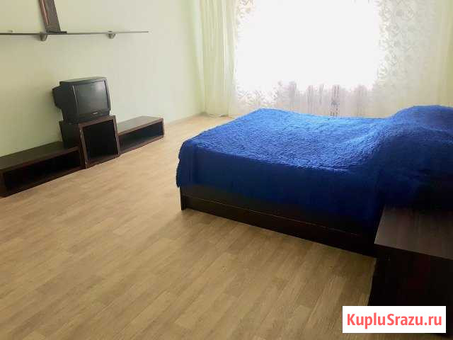 1-комнатная квартира, 60 м², 6/10 эт. в аренду посуточно в Воронеже Воронеж - изображение 1