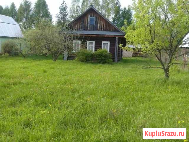 Дача 36 м² на участке 7 сот. на продажу в Буревестнике Буревестник - изображение 1