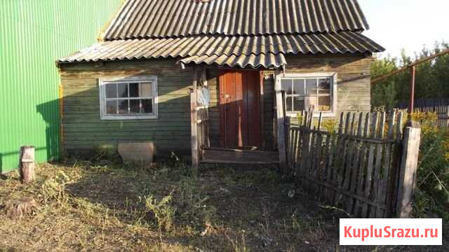 Дом 44 м² на участке 5 сот. на продажу в Борском Борское - изображение 1