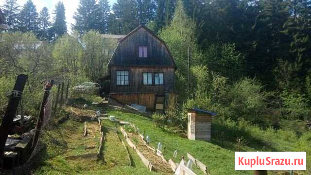 Дача 43 м² на участке 4 сот. на продажу в Перми Пермь - изображение 1