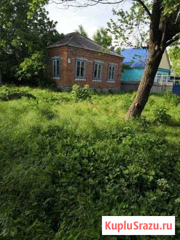 Дом 60 м² на участке 36 сот. на продажу в Калниболотской Калниболотская - изображение 1
