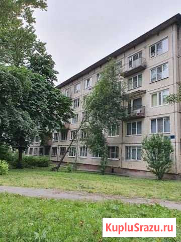 2-комнатная квартира, 45.1 м², 2/5 эт. на продажу в Санкт-Петербурге Санкт-Петербург - изображение 1