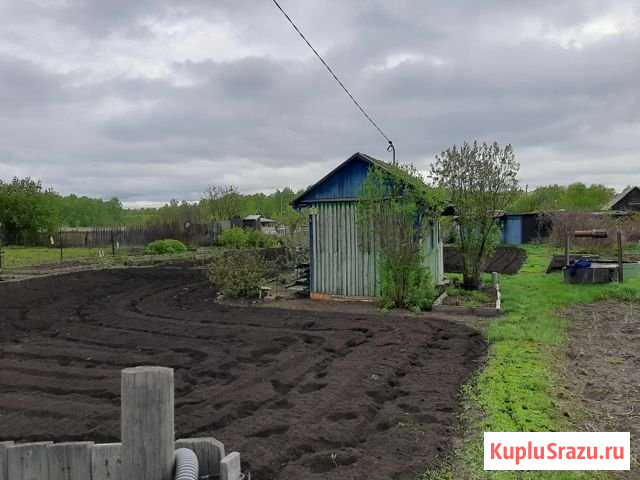 Дача 20 м² на участке 8 сот. на продажу в Омске Омск - изображение 1