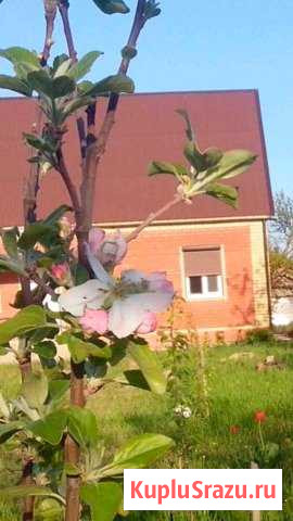Коттедж 130 м² на участке 17 сот. на продажу в Должанской Должанская - изображение 1