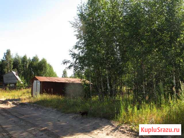 Участок ИЖС 20 сот. на продажу в Корткеросе Корткерос - изображение 1