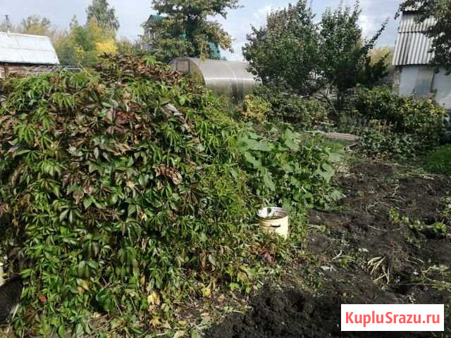Дача 25 м² на участке 6 сот. на продажу в Магнитогорске Магнитогорск - изображение 1