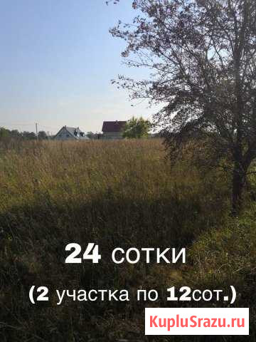 Участок СНТ, ДНП 24 сот. на продажу в Гурьевске Калининградской области Гурьевск - изображение 1