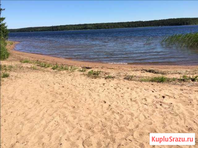 Участок ИЖС 6 сот. на продажу в Сосновом Бору Сосновый Бор - изображение 1