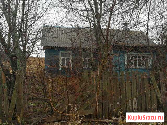 Дом 45 м² на участке 34 сот. на продажу в Болохово Болохово - изображение 1