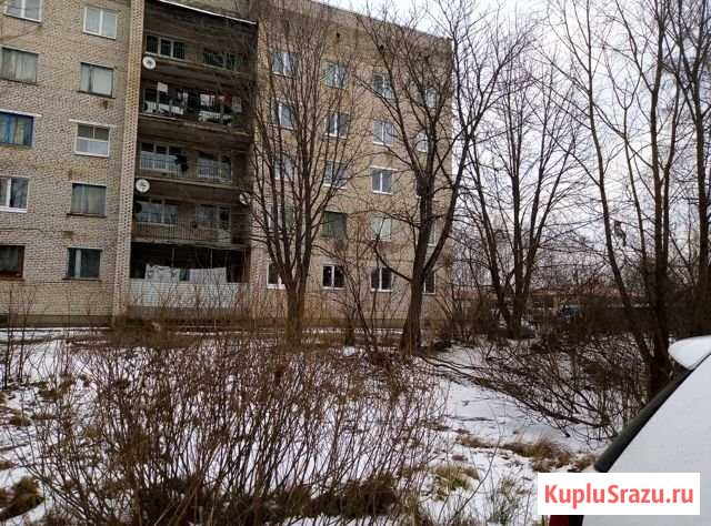 Комната 42 м² в 2-ком. кв., 2/5 эт. на продажу в Старой Руссе Старая Русса - изображение 1