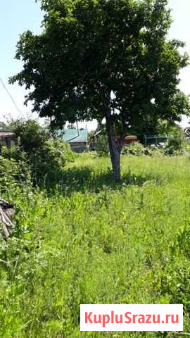Дача 20 м² на участке 10 сот. на продажу в Тольятти Тольятти - изображение 1