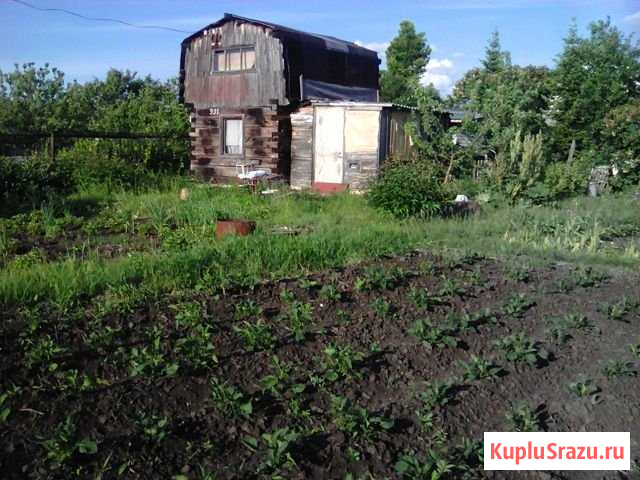 Дача 20 м² на участке 6 сот. на продажу в Тольятти Тольятти - изображение 1