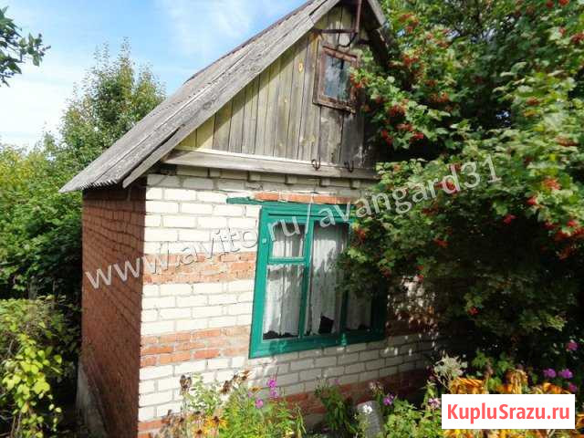 Дача 30 м² на участке 6 сот. на продажу в Северном Белгородской области Северный - изображение 1
