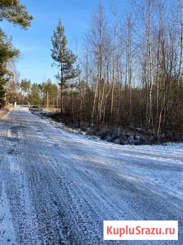 Участок СНТ, ДНП 8 сот. на продажу в Электрогорске Электрогорск - изображение 1
