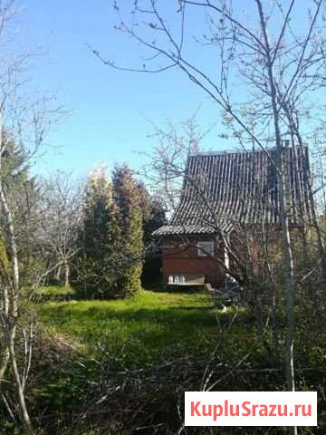 Дача 40 м² на участке 6 сот. на продажу в Волхове Волхов - изображение 1