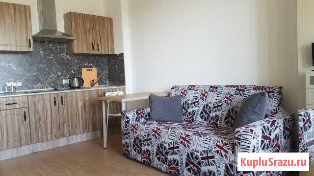 Квартира-студия, 26 м², 9/16 эт. в аренду на длительный срок в Санкт-Петербурге Санкт-Петербург - изображение 1