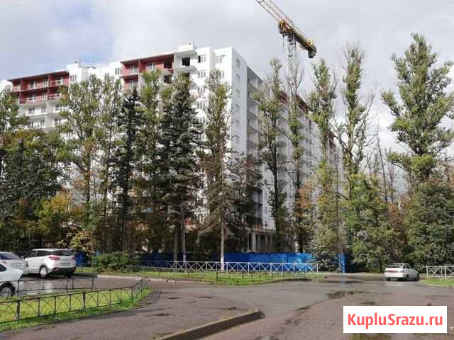 Квартира-студия, 25.5 м², 8/12 эт. на продажу в Санкт-Петербурге Санкт-Петербург - изображение 1