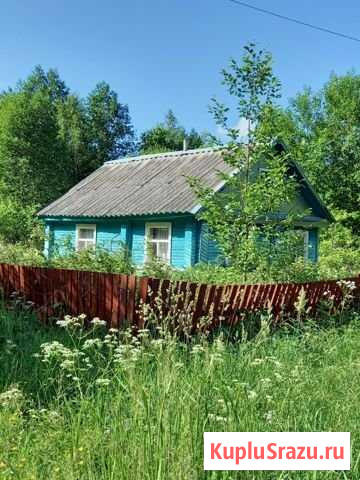 Дача 24 м² на участке 12 сот. на продажу в Порхове Порхов - изображение 1