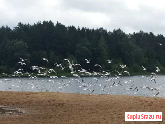 Участок ИЖС 13 сот. на продажу в Кирове Киров - изображение 1