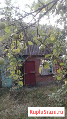 Дача 60 м² на участке 5 сот. на продажу в Воскресенске Воскресенск - изображение 1