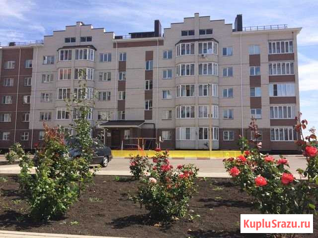 1-комнатная квартира, 33.4 м², 5/5 эт. на продажу в Воронеже Воронеж - изображение 1