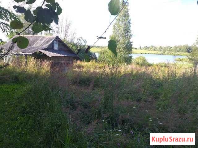 Участок ИЖС 20 сот. на продажу в Великих Луках Великие Луки - изображение 1