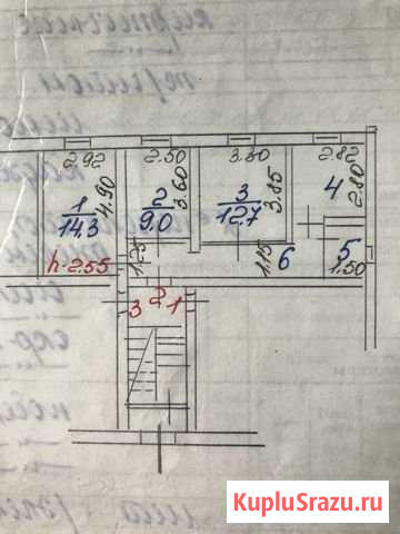 3-комнатная квартира, 56.4 м², 1/2 эт. на продажу в Петергофе Петергоф - изображение 1