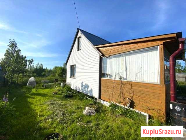 Участок СНТ, ДНП 5 сот. на продажу в Королеве Королев - изображение 1