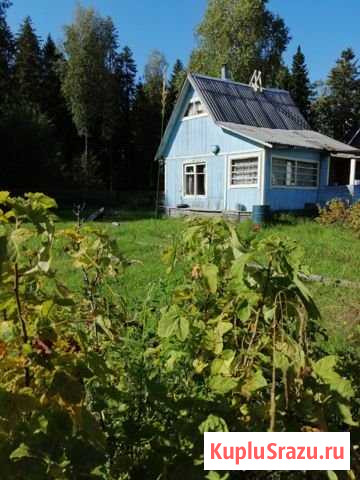 Дача 20 м² на участке 12 сот. на продажу в Сыктывкаре Сыктывкар - изображение 1