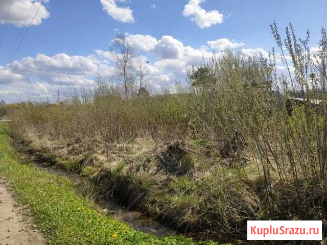 Участок СНТ, ДНП 6 сот. на продажу в Приладожском Приладожский - изображение 1