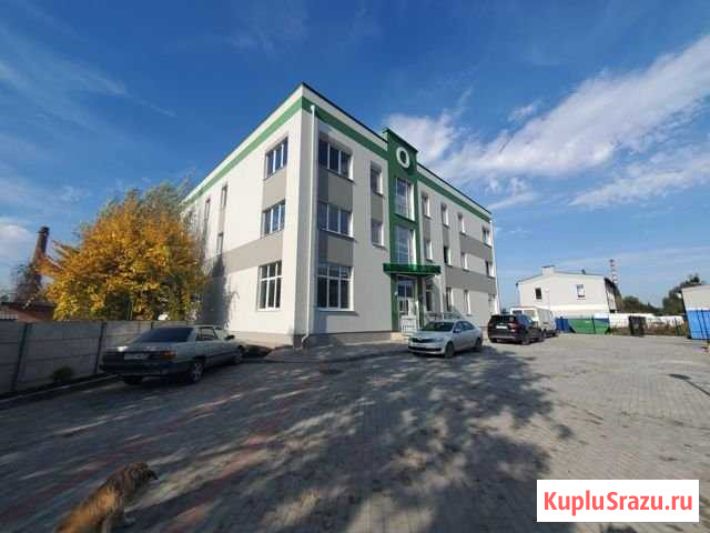 Помещение свободного назначения, 700 кв.м. Калининград - изображение 1