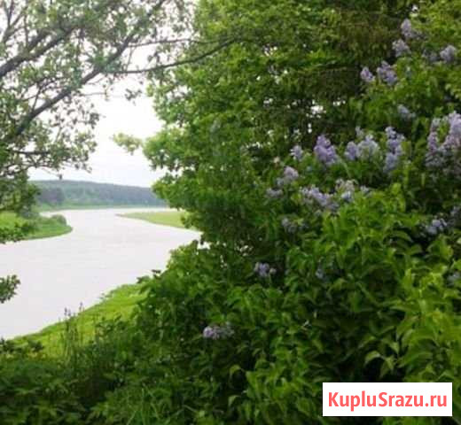 Участок ИЖС 32 сот. на продажу в Старице Старица - изображение 1