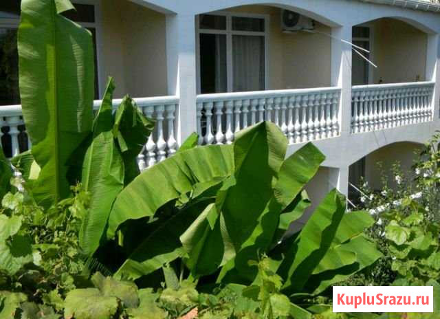Комната 15 м² в 1-ком. кв., 2/2 эт. в аренду посуточно в Алуште Алушта - изображение 1