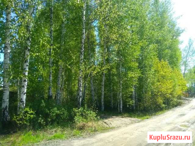Участок СНТ, ДНП 10 сот. на продажу в Тюмени Тюмень - изображение 1