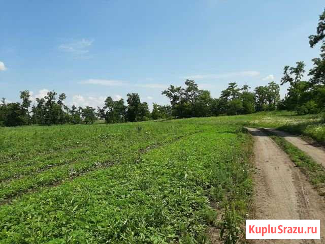 Участок СНТ, ДНП 574 сот. на продажу в Краснодаре Краснодар - изображение 1