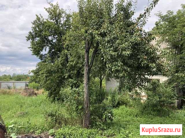 Дача 20 м² на участке 5 сот. на продажу в Курске Курск - изображение 1