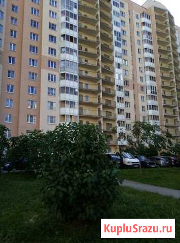 1-комнатная квартира, 42 м², 2/11 эт. в аренду на длительный срок в Санкт-Петербурге Санкт-Петербург - изображение 1