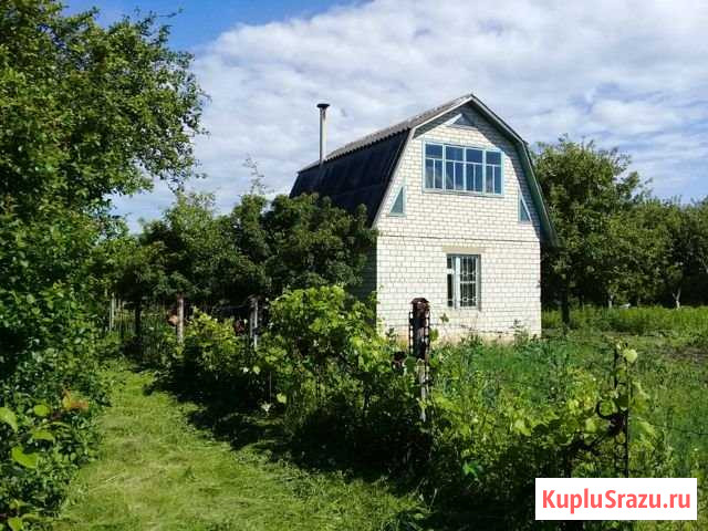 Дача 55 м² на участке 10 сот. на продажу в Курске Курск - изображение 1