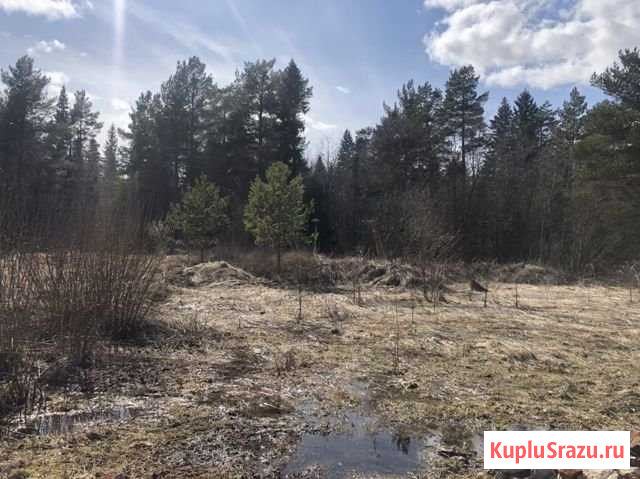 Участок ИЖС 13 сот. на продажу в Кирове Киров - изображение 1