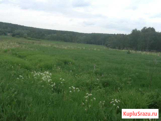 Участок СНТ, ДНП 5136 сот. на продажу в Медыни Медынь - изображение 1
