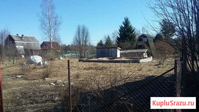Участок СНТ, ДНП 6 сот. на продажу в Мге Мга - изображение 1