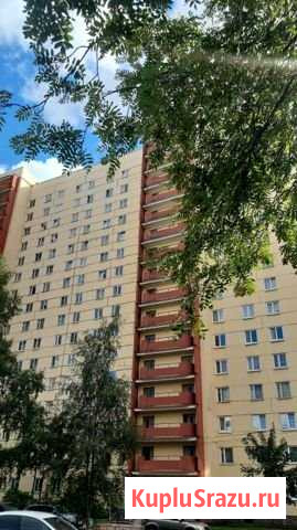 2-комнатная квартира, 51.8 м², 4/16 эт. на продажу в Санкт-Петербурге Санкт-Петербург - изображение 1