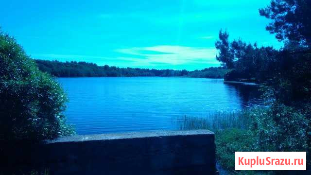 Дача 70 м² на участке 23 сот. на продажу в Крестцах Крестцы - изображение 1