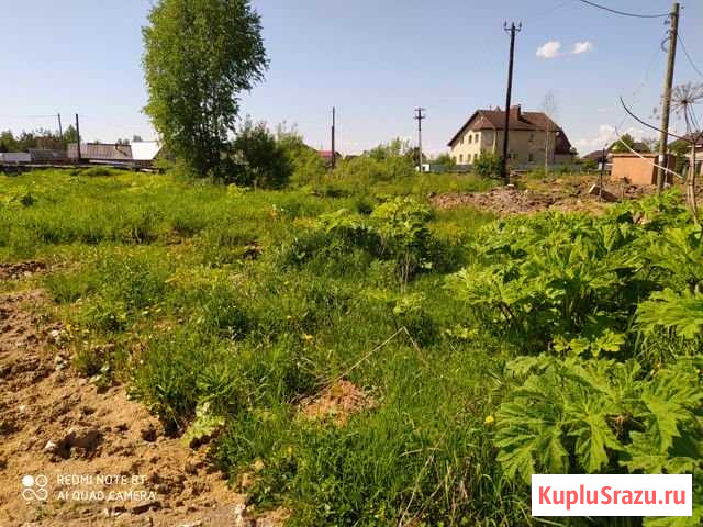 Участок ИЖС 16 сот. на продажу в Выльгорте Выльгорт - изображение 1