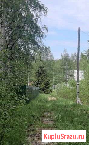 Участок СНТ, ДНП 6 сот. на продажу в Новодвинске Новодвинск - изображение 1